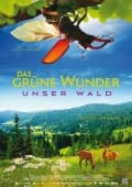 Unser Wald - Das gr�ne Wunder