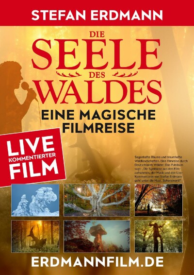 Die Seele des Waldes 2D